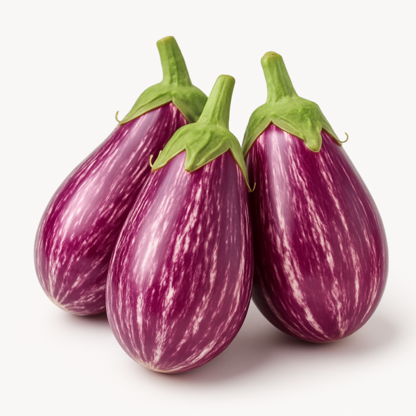 Exotic Brinjal