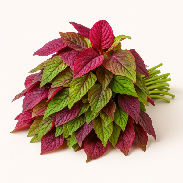 Fresh Red Herbs